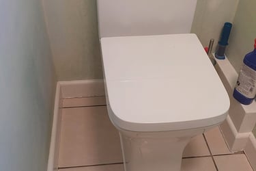 toilet repair in Stratford