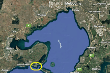 A satellite view of Port Phillip Bay in Victoria with a yellow outline to show Point Lonsdale