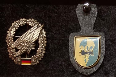 Fallschirmjäger 313