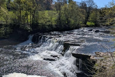 the middle falls at Aysgarth Falls Yorkshire Dales
