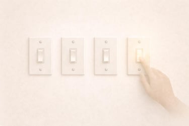 nintrerupatoare electrice in linie evoia de ordine + disconfortul imperfecțiunii