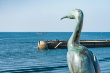 Le quai nul Concarneau statue du cormoran © PORHIEL Thibault -Tourisme Bretagne