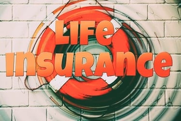 Life Insurance Agent