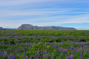 "Awash" - Mýrdalssandur, Iceland