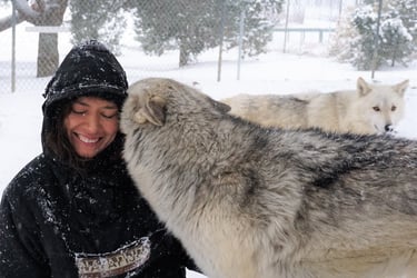 Crystal with wolfdog