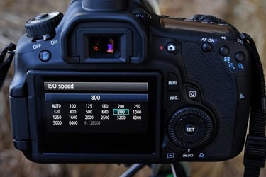 Hướng dẫn cách điều chỉnh ISO máy ảnh phù hợp với từng điều kiện sáng