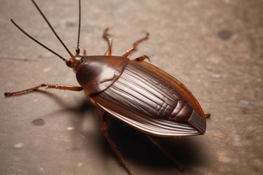 Dezinsecție profesională Alternativ DDD. Scapă rapid de gândaci, furnici și insecte dăunătoare. Rezultate garantate!