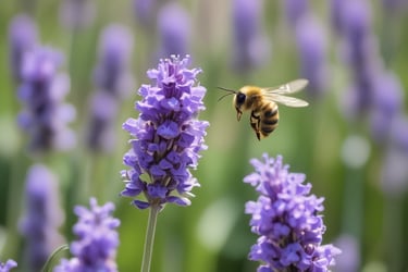 Bright living room with modern inventory