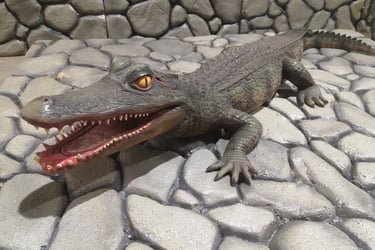 alquiler cocodrilo fibra