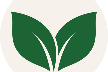 a green leafy plant with a leafy green leaves