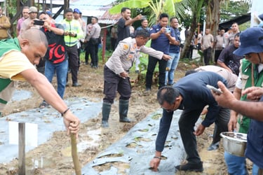 Polres Kepulauan Aru Giat Laksanakan Penanaman Jagung