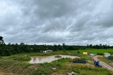 bio-pond on site