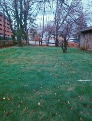 T&L Leaf Removal Project Completed