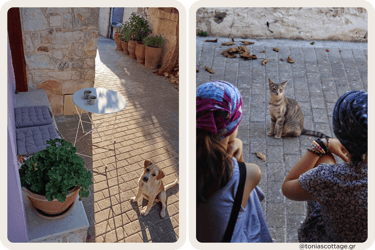 Outdoor sitting area at Tonia's Cottage with a table and a dog and two people watch a cat
