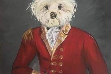 Llahsa apso in soldier's uniform