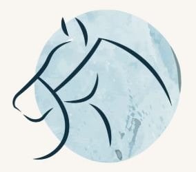 tête de cheval avec un filet