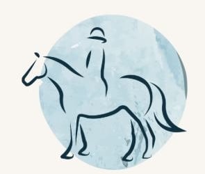 Cavalier sur un cheval