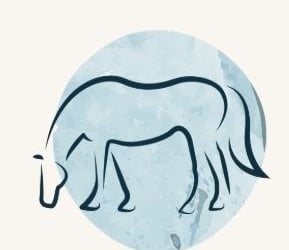 Cheval qui broute
