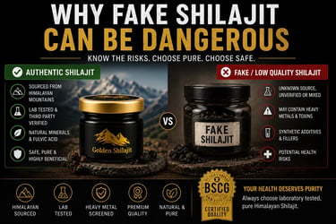 Comparison infographic showing the benefits of authentic Himalayan shilajit resin versus the health risks of fake shilajit.