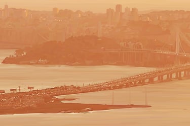 vector hyperrealism - THE GOLDEN STATE - detail 3