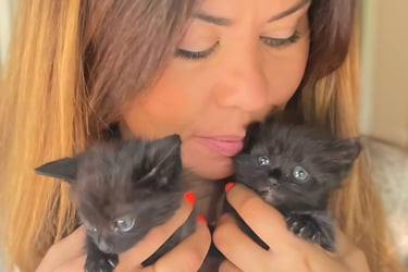 2 chatons noirs portés par femme