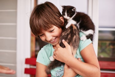 petit garçon heureux tenant 2 chatons dans ses bras
