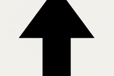 Up Arrow Link to Top of Page