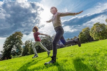 Barenbrug vejos sėklos namų vejoms