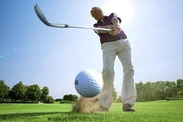 Barenbrug vejos sėklos golfui