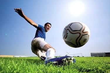 Barenbrug vejos sėklos sportui, stadionams