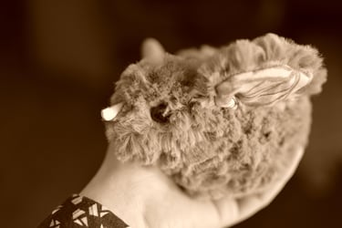 peluche poussin tenue dans une main, gros plan sur le lien et la douceur
