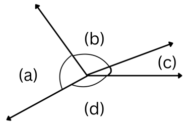 NAPLAN YEAR 3 Angles