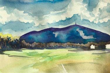 plein air landscapes