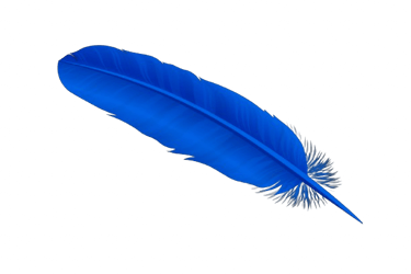 Blue feather representing creativity, inspiration, and the journey of transformation.