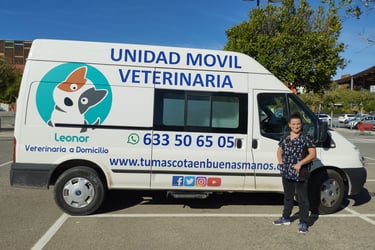 a woman standing in front of a van with a dog on it