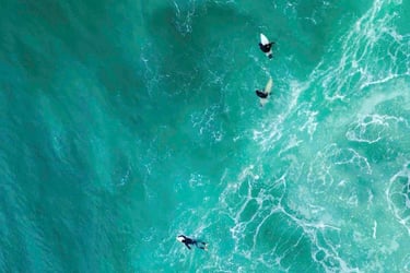 Surf trip pays basque