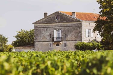 Excursion à saint Emilion