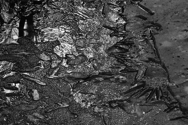 close up black ice