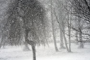 a snow covered park and it's snowing