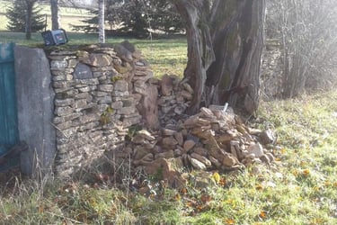 cluny paysagiste mur