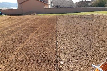 semis pelouse à cluny