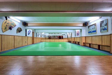 Jiushin Kan | Jiu-Jitsu | Martial Arts | Dojo | Malta