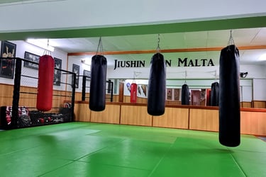 Jiushin Kan | Jiu-Jitsu | Martial Arts | Dojo | Malta