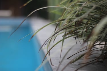 mindo-naturaleza-bicok-hospedaje