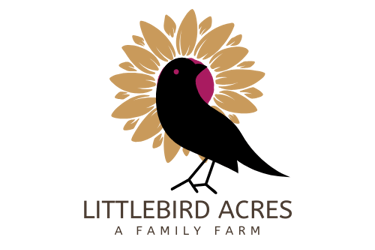 golden sunflower in background of a black cartoon magpie logo for LittleBird Acres