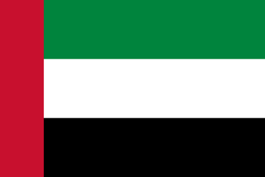 Sylbridge tutoring for top exam results and academic success in UAE and Saudi Arabia.
