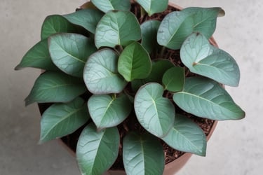 Bright living room with modern inventory