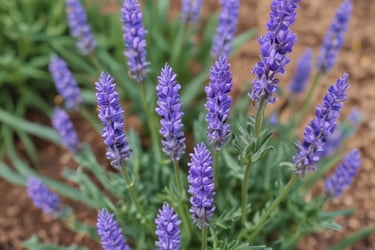 Bright living room with modern inventory