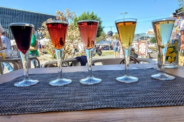 Flight of colorful Port wines arranged on an outdoor table by the river in Porto, looking like a wor