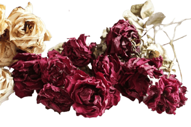 Flower preserving resin 